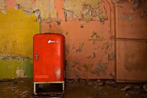 image courtesy of Thomas Mues