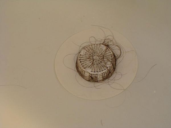 DSC00770_Full