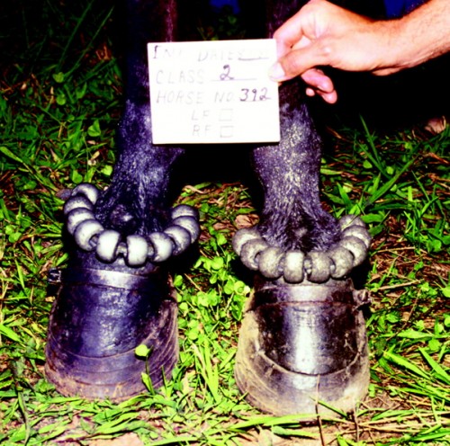 a_device_soring_0708