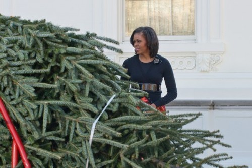US-HOLIDAYS-CHRISTMAS-TREE-OBAMA