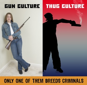 Image result for pro-gun memes