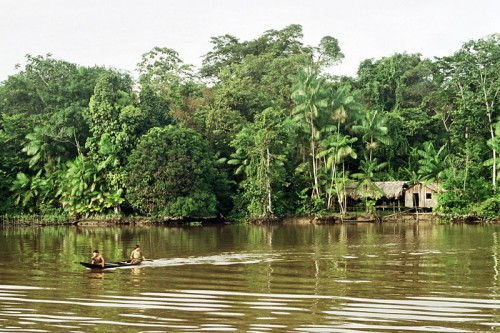http://thesocietypages.org/sociologylens/files/2010/02/Amazon-Rainforest-Photo-Courtesy-of-Francisco-Chaves-500x333.jpg