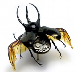 beetle-drone