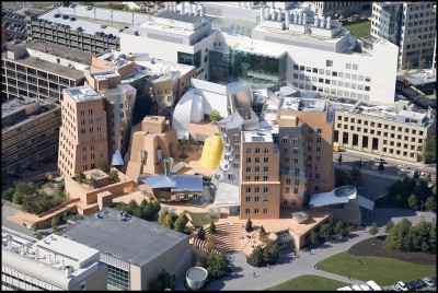The Stata Center at MIT, designed by Frank Gehry