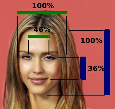 A University of Toronto Study identified the "golden" facial proportions for women (http://www.news.utoronto.ca/researchers-discover-new-golden-ratios-female-facial-beauty-0)