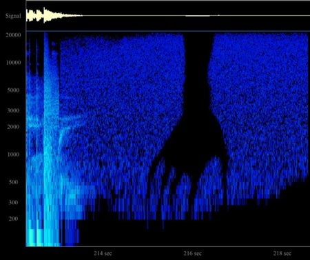 nin-the-warning-spectrogram