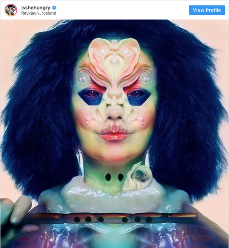 Bjork album cover, the performer's face in a rainbow of extraterrestrial-looking makeup