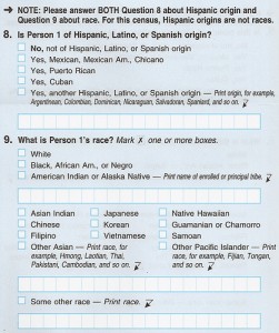 The 2010 U.S. Census Form's section on race.