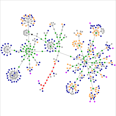 Clear, well-visualized network graph