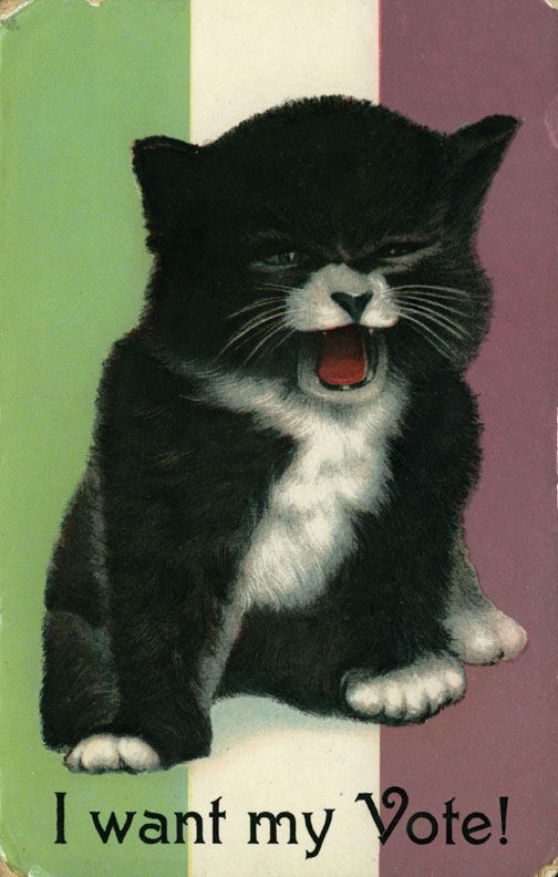Image result for suffrage cat postcards