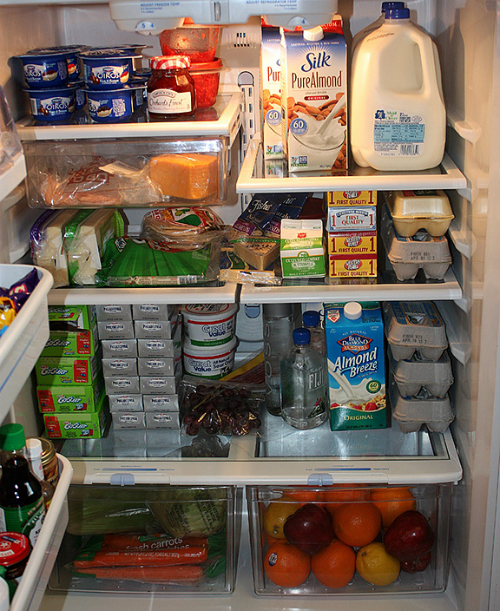 One Hundred Years of the Fridge - Sociological Images