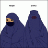 Sarkozy, Feminism, & the Burqa {برقع‎} - ThickCulture